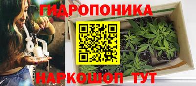 прущая мука Пыть-Ях
