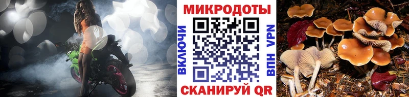 где найти наркотики  Ногинск  Галлюциногенные грибы мухоморы 