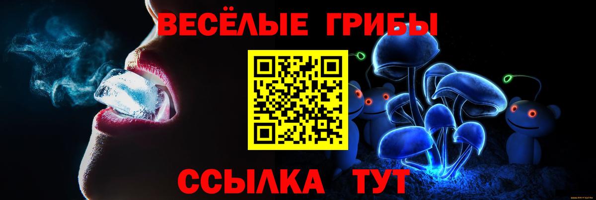 Псилоцибиновые грибы MAGIC MUSHROOMS  Вход с VPN  Ногинск 